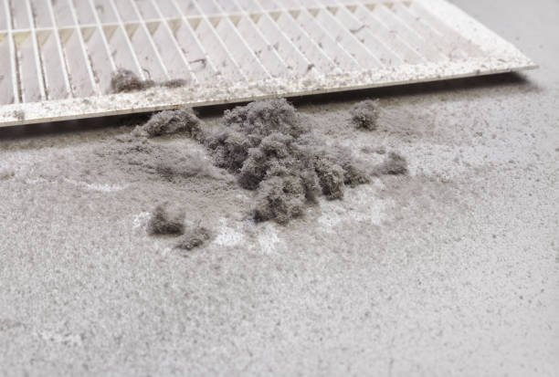 Best Affordable HVAC Duct Cleaning  in Needville, TX