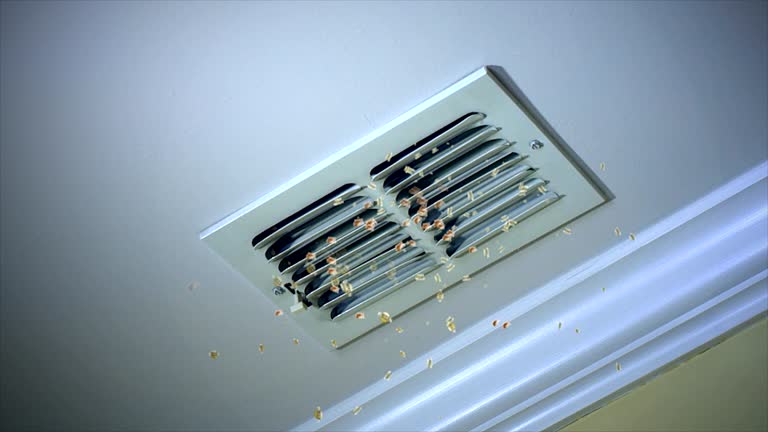 Best Duct Cleaning for Offices  in Needville, TX