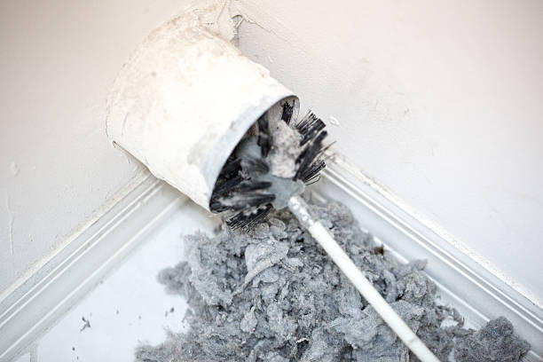 Best Air Duct Cleaning Near Me  in Needville, TX