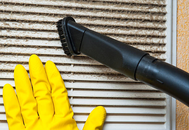 Best Air Duct Cleaning Near Me  in Needville, TX