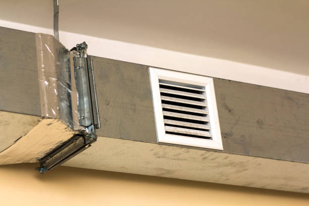Best Air Duct Cleaning Near Me  in Needville, TX